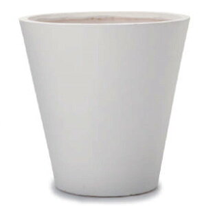 ԁEϗtAp|bg t@Co[NC C^ RjbNv^[ M 40/A i1jfm-019w40e [KTp183] ^|bg isjzeEItBXrEX CeA GNXeA