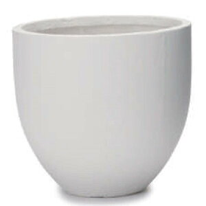 ԁEϗtAp|bg t@Co[NC ~E Ehv^[ L 50/B i1jfm-020w50e [KTp183] ^|bg isjzeEItBXrEX CeA GNXeA