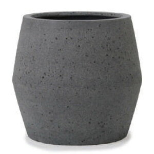 ԁEϗtAp|bg t@Co[Xg[ p{ W[ M 36/A eXg[i1jfs-pv3h36e [KTp85] ^Jo[ isjzeEItBXrEX CeA GNXeA