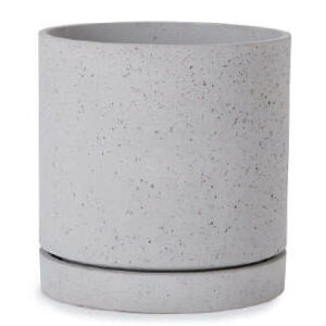 ԁEϗtAp|bg C V_[\[T[ M 12/Ai1jlm-002w12p [KTp117] ^|bg Mt isjzeEItBXrEX CeA GNXeA