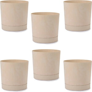 ԁEϗtAp|bg vXp[ gD[{ B XS 18/A N[i6jpp-tu1c18e [KTp221] ^|bg Mt isjzeEItBXrEX GNXeA CeA