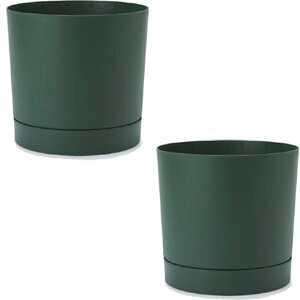 ԁEϗtAp|bg vXp[ gD[{ M 30/A pCO[i2jpp-tu1g30e [KTp219] ^|bg Mt isjzeEItBXrEX GNXeA CeA