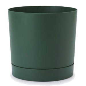 ԁEϗtAp|bg vXp[ gD[{ L 35/A pCO[i1jpp-tu1g35e [KTp219] ^|bg Mt isjzeEItBXrEX GNXeA CeA