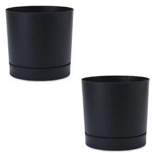 ԁEϗtAp|bg vXp[ gD[{ M 30/A AXTCgi2jpp-tu1k30e [KTp219] ^|bg Mt isjzeEItBXrEX GNXeA CeA