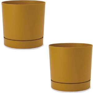 ԁEϗtAp|bg vXp[ gD[{ M 30/A }X^[hi2jpp-tu1y30e [KTp219] ^|bg Mt isjzeEItBXrEX GNXeA CeA