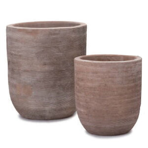 �ԁE�ϗt�A���p�|�b�g �e���g�D�[�u ���[�|�b�g 2/SET/B M/S�iMS�e1����v2�Z�b�g�jts-r34x2se [KTp247] M�ES�Z�b�g �|�b�g�t�B�[�g�t �i������s�j�z�e���E�I�t�B�X�r���E�X�� �G�N�X�e���A 