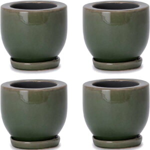 ԁEϗtAp|bg AXeA ~h M 4 O[i4jat-001g04p [KTp411] ~j|bg Mt isjzeEItBXrEX CeA fBXvC