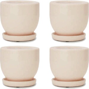 ԁEϗtAp|bg AXeA ~h M 4 N[i4jat-001w04p [KTp411] ~j|bg Mt isjzeEItBXrEX CeA fBXvC