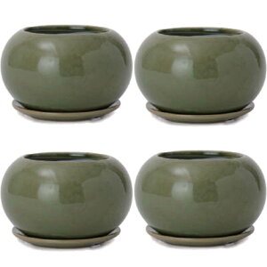 ԁEϗtAp|bg AXeA {E M 4 O[i4jat-003g04p [KTp413] ~j|bg Mt isjzeEItBXrEX CeA fBXvC