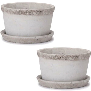 ԁEϗtAp|bg g V[ 5 Mi2jce-004x05p [KTp431] ~j|bg Mt isjzeEItBXrEX CeA GNXeA