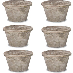 ԁEϗtAp|bg X|bg X^_[h AeB[NzCg M 6 i6jms-100w06e [OLp289] ^|bg isjzeEItBXrEX GNXeA K[f