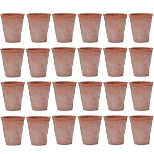 ԁEϗtAp|bg X|bg [Y ԓy/O[ XS 3 ԁi24jms-300r03e [KTp291] ~j|bg isjzeEItBXrEX GNXeA K[f