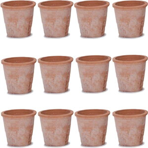 ԁEϗtAp|bg X|bg AUA ԓy S 5 ԁi12jms-400r05e [KTp289] ^|bg isjzeEItBXrEX GNXeA K[f