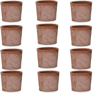 ԁEϗtAp|bg X|bg V_[ ԓy S 4 ԁi12jms-700r04e [OLp291] ~j|bg isjzeEItBXrEX GNXeA K[f