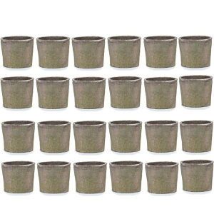 ԁEϗtAp|bg X|bg V_[ AeB[NzCg XS 3 i24jms-700w03e [KTp291] ~j|bg isjzeEItBXrEX GNXeA K[f