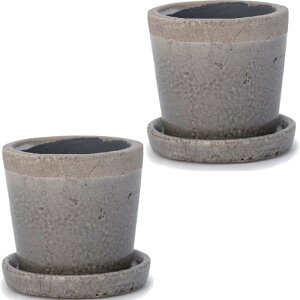 ԁEϗtAp|bg N[p 6 M Di2jsh-002h06p [KTp427] ~j|bg Mt isjzeEItBXrEX CeA fBXvC