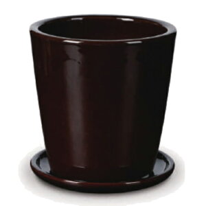 ԁEϗtAp|bg rg h[Z S 8/A uEցi1jvt-r10b08p [KTp325] ^|bg Mt isjzeEItBXrEX GNXeA CeA