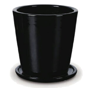 ԁEϗtAp|bg rg h[Z M 11/A ubNցi1jvt-r10k11p [KTp325] ^|bg Mt isjzeEItBXrEX GNXeA CeA