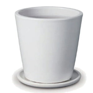 ԁEϗtAp|bg rg h[Z M 11/A }bgցi1jvt-r10w11p [KTp325] ^|bg Mt isjzeEItBXrEX GNXeA CeA