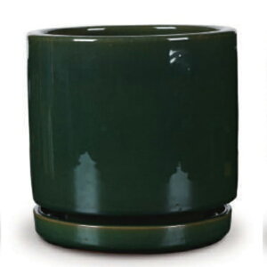 ԁEϗtAp|bg rg GfJ M 10/A O[ցi1jvt-r11g10p [KTp315] ^|bg Mt isjzeEItBXrEX GNXeA CeA