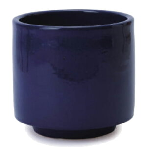 ԁEϗtAp|bg rg GfJ M 10/A lCr[ցi1jvt-r11n10v [KTp317] ^|bg Ci[|bgt isjzeEItBXrEX GNXeA CeA