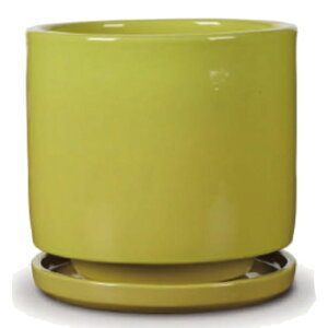 ԁEϗtAp|bg rg GfJ M 10/A CG[ցi1jvt-r11y10p [KTp315] ^|bg Mt isjzeEItBXrEX GNXeA CeA