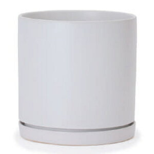 �ԁE�ϗt�A���p�|�b�g WY���_�� ���_�� CR1 �}�b�g�� ��M�t�Z�b�g M 7��/A ���i1����jwy-cr1w07p [KTp349] ���^�|�b�g �i������s�j�z�e���E�I�t�B�X�r���E�X�� �C���e���A �f�B�X�v���C