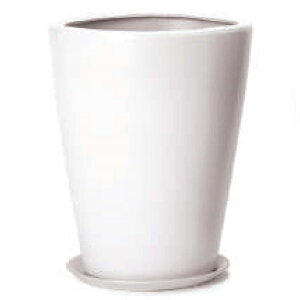 ԁEϗtAp|bg WY_ _ PR1 }bg MtZbg XS 7/A i1jwy-pr1w07p [KTp341] ^|bg isjzeEItBXrEX CeA fBXvC