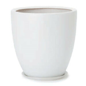 ԁEϗtAp|bg WY_ _ PR6 }bg MtZbg M 10/A i1jwy-pr6w10p [KTp347] ^|bg isjzeEItBXrEX CeA fBXvC