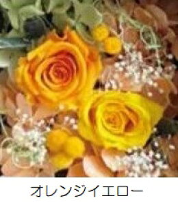 vU[uht[ Presarved Flower Arrangmentino10-1319jSTCY 6F1FI ^i2pj 1 87mm NAP[X uUAW Mtg CeA