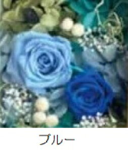 �v���U�[�u�h�t�����[ Presarved Flower Arrangment�ino10-1319�jS�T�C�Y 6�F����1�F��I�� ���^�i2p�j 1���� ����87mm �N���A�P�[�X���� �u���U�A�����W �M�t�g �C���e���A
