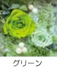 �v���U�[�u�h�t�����[ Presarved Flower Arrangment�ino10-1319�jS�T�C�Y 6�F����1�F��I�� ���^�i2p�j 1���� ����87mm �N���A�P�[�X���� �u���U�A�����W �M�t�g �C���e���A