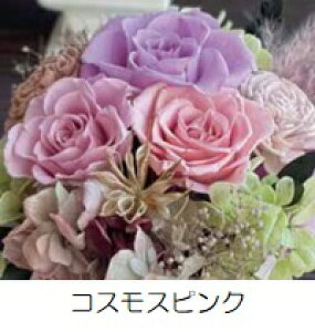 vU[uht[ Natural Presarved Arrangmentino10-1324jMTCY 3F1FI XNGA|bg^i13pj 1 140mm NAP[X uUAW Mtg CeA