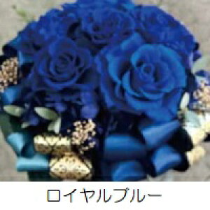 vU[uht[ retro modernino10-1330jLTCY 2F1FI |bg^i20pj 1 170mm NAP[X uUAW Mtg CeA