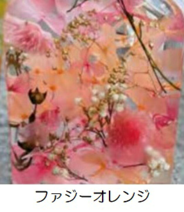 楽天市場】ハーバリウム Herbarium 植物標本（no10-hb28）6色から1色を