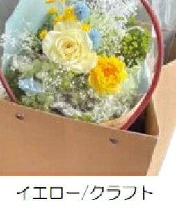 vU[uht[ Presarved Happy Bouquetino10-hbqj3F1FI u[P^Cvi12pj 1 170mm 肳obOt 2ނ̎肳obO1ޑI uUAW Mtg C