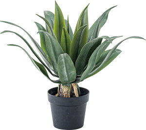 tFCNO[ AKx@GRN-14 tFCNO[ ϗtA lHϗtA AKx t  CeA  O[ [t  K[f  