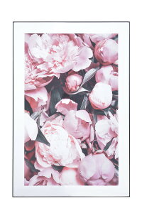 A[gpl@ART-200B@ 80×120cm OtBbNpl fUC{[h A[g CXg G ʐ^ CeA  Ǌ| rO  _ 