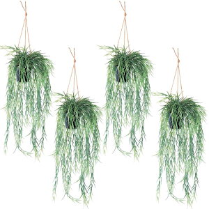 観葉植物 リプサリスの人気商品 通販 価格比較 価格 Com