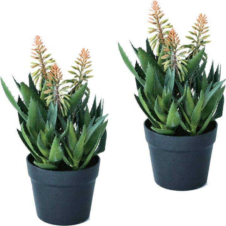 楽天市場 人工観葉植物 アロエピンク花ポット42 2個セット 240 0 多肉植物 代引き不可 インテリア フェイクグリーン 造花 Pot Succulent P61 クロスリー スタイル