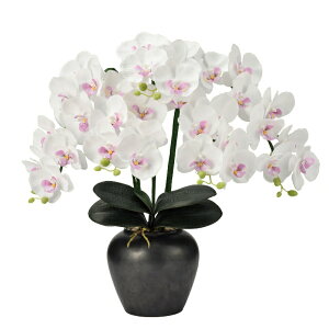 ~ 򕌒 ԃ^Cv [~[E~iX 5{ G} 58cm (P26)(23773) LED R[hX ~ V~ ~