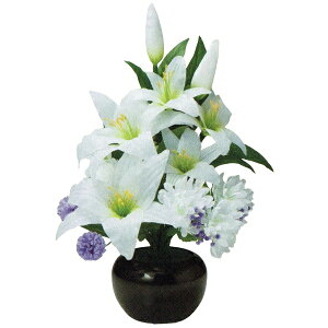 ~ 򕌒 ԃ^Cv Oh~iX STD Ԃ̂ 52cm (P4)(23861) FLED dCR[h ~ V~ ~