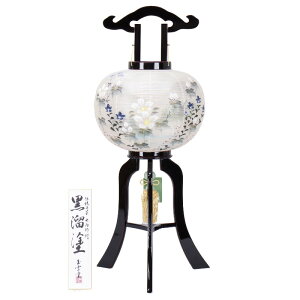 ~  u s hdG 11 85cm iP29)(8444-11473) dCR[h ~ ~