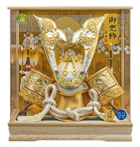 ܌l` [߂̐ߋ P[X  p L^̊ v225-783 ANP[X RpNg yʁ@