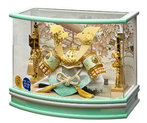 ܌l` [߂̐ߋ P[X  ͂Ɨ L^̊ v245-717 ANP[X RpNg yʁ@