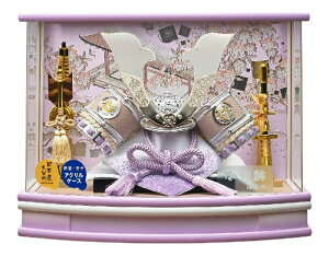 ܌l` [߂̐ߋ P[X  ͂Ǝ ׍HL^̊ v245-718 ANP[X RpNg yʁ@