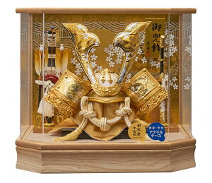 ܌l` [߂̐ߋ P[X  ZpR グL^̊ v255-705 ANP[X RpNg yʁ@