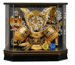 ܌l` [߂̐ߋ P[X   グL^̊ v255-711 ANP[X RpNg yʁ@