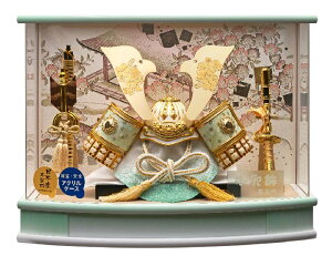 ܌l` [߂̐ߋ P[X  ͂  L^̊ v255-717 ANP[X RpNg yʁ@