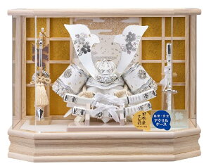 ܌l` [߂̐ߋ P[X ̂ L^̊ v255-721 ANP[X RpNg yʁ@